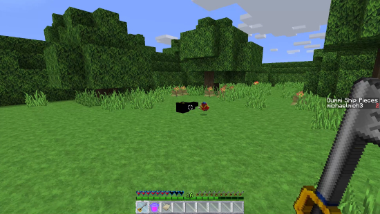 Minecraft Screenshot 7